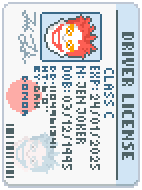 Drivers License